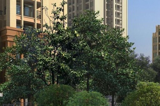 2024东北电力大学录取分数线